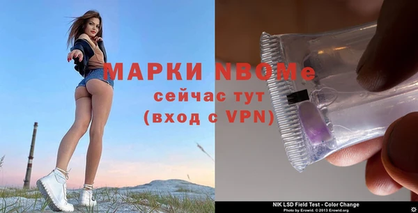 герыч Пересвет