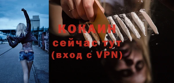 герыч Пересвет