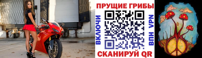 Галлюциногенные грибы Cubensis  Рошаль 